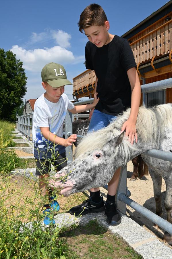 Familien- Und Apartmenthotel Lerchenberghof Walddorf  Luaran gambar