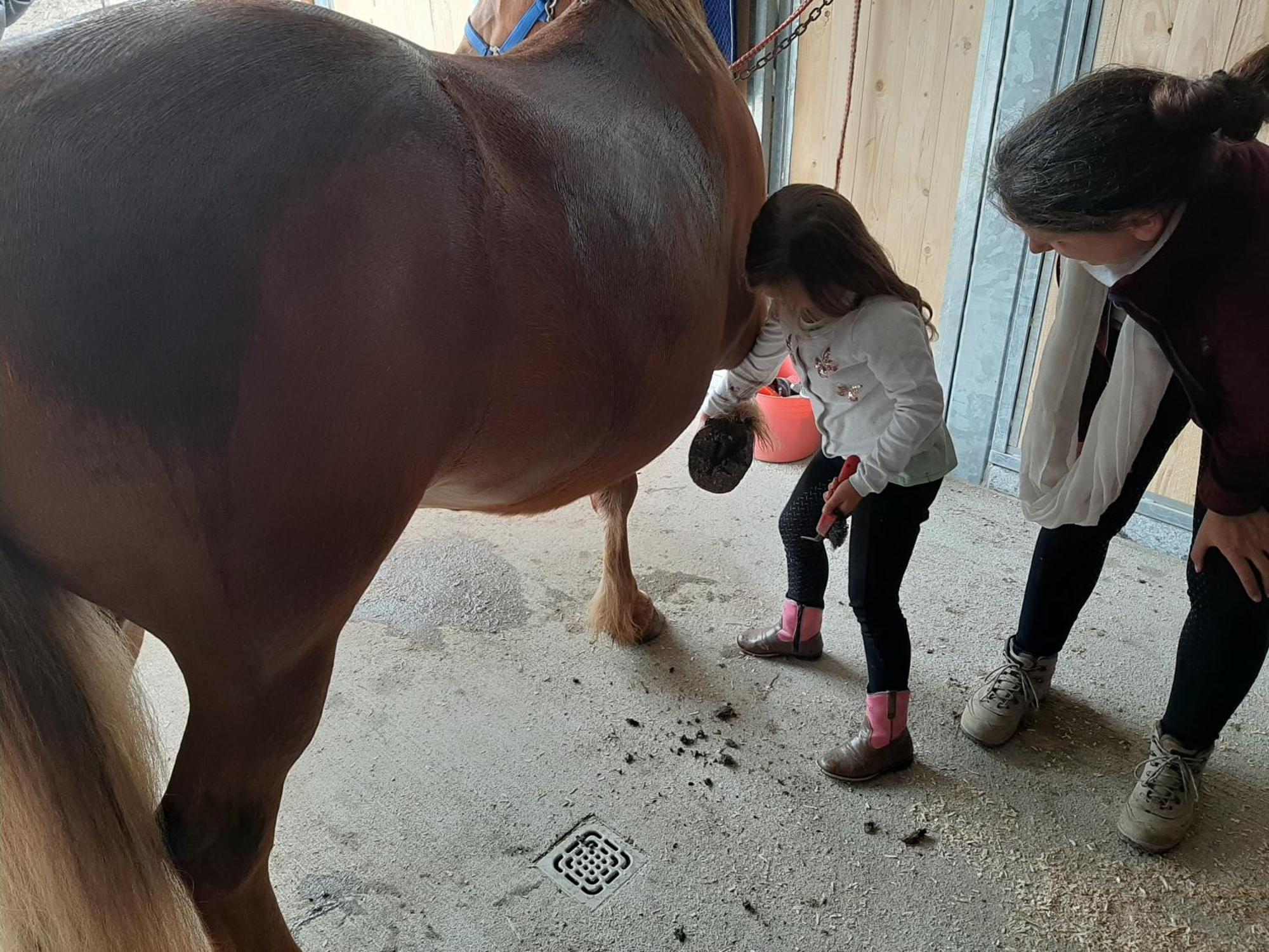 Familien- Und Apartmenthotel Lerchenberghof Walddorf  Luaran gambar