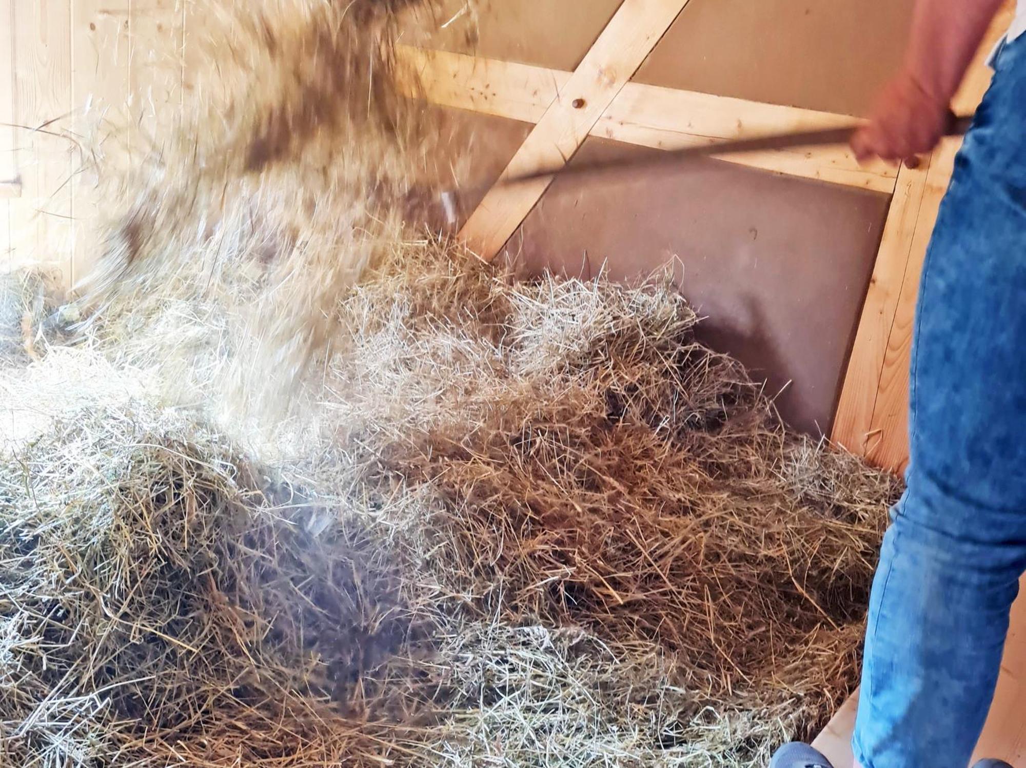 Familien- Und Apartmenthotel Lerchenberghof Walddorf  Bilik gambar
